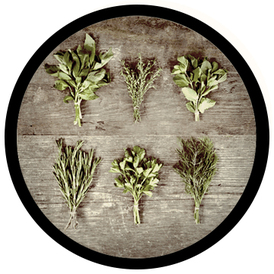 Herbs and Roots at Crossroads University